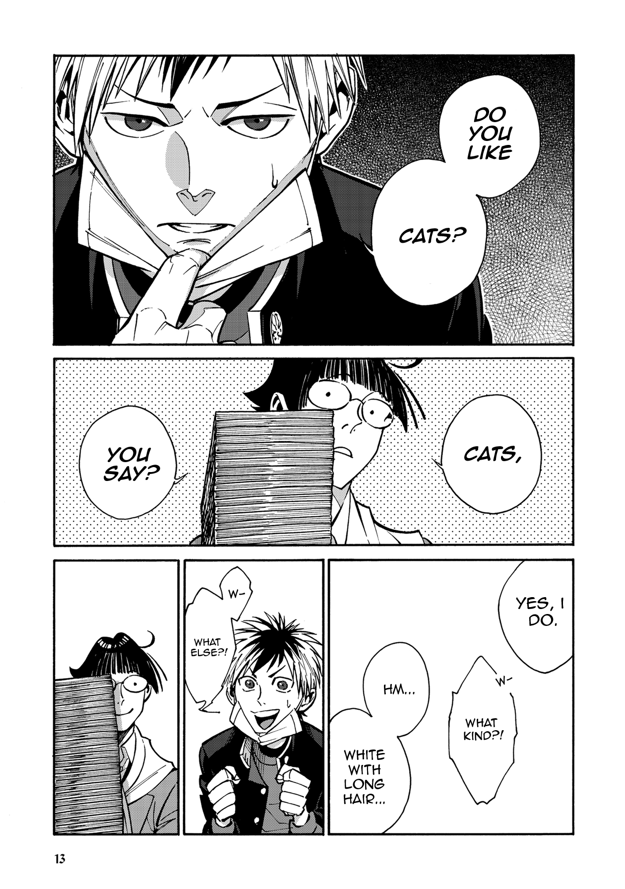 Page 13
