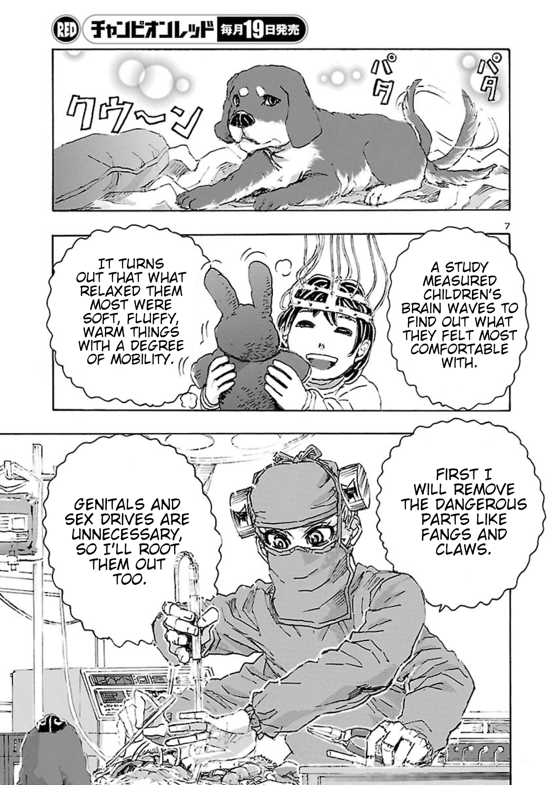 Page 7