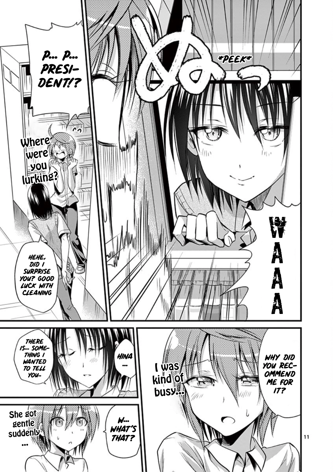 Page 11