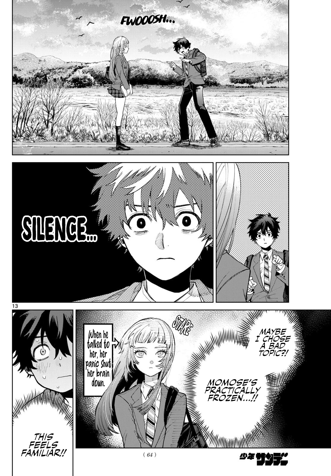 Page 13