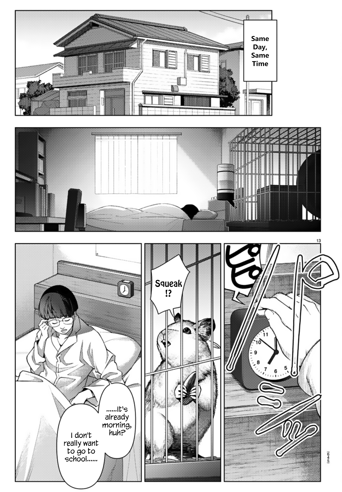 Page 13
