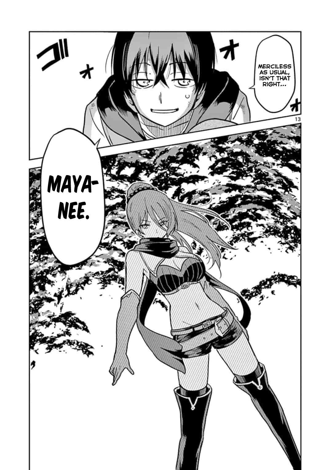 Page 13