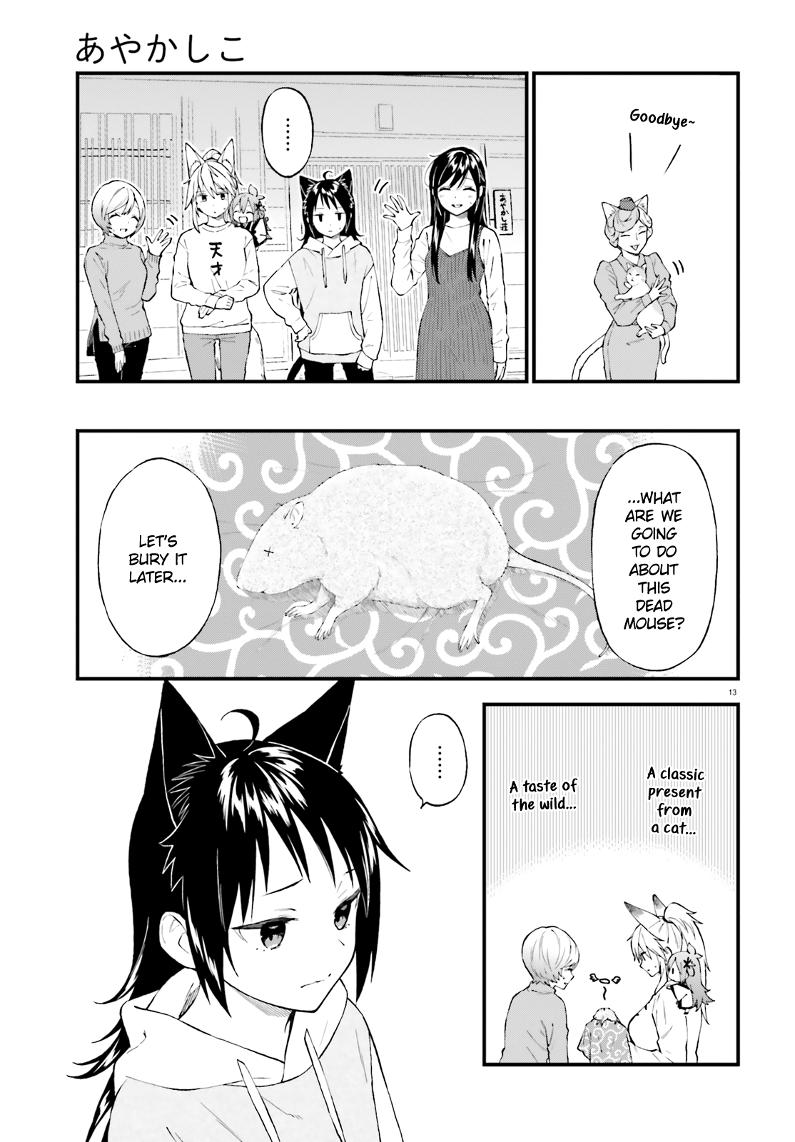 Page 13