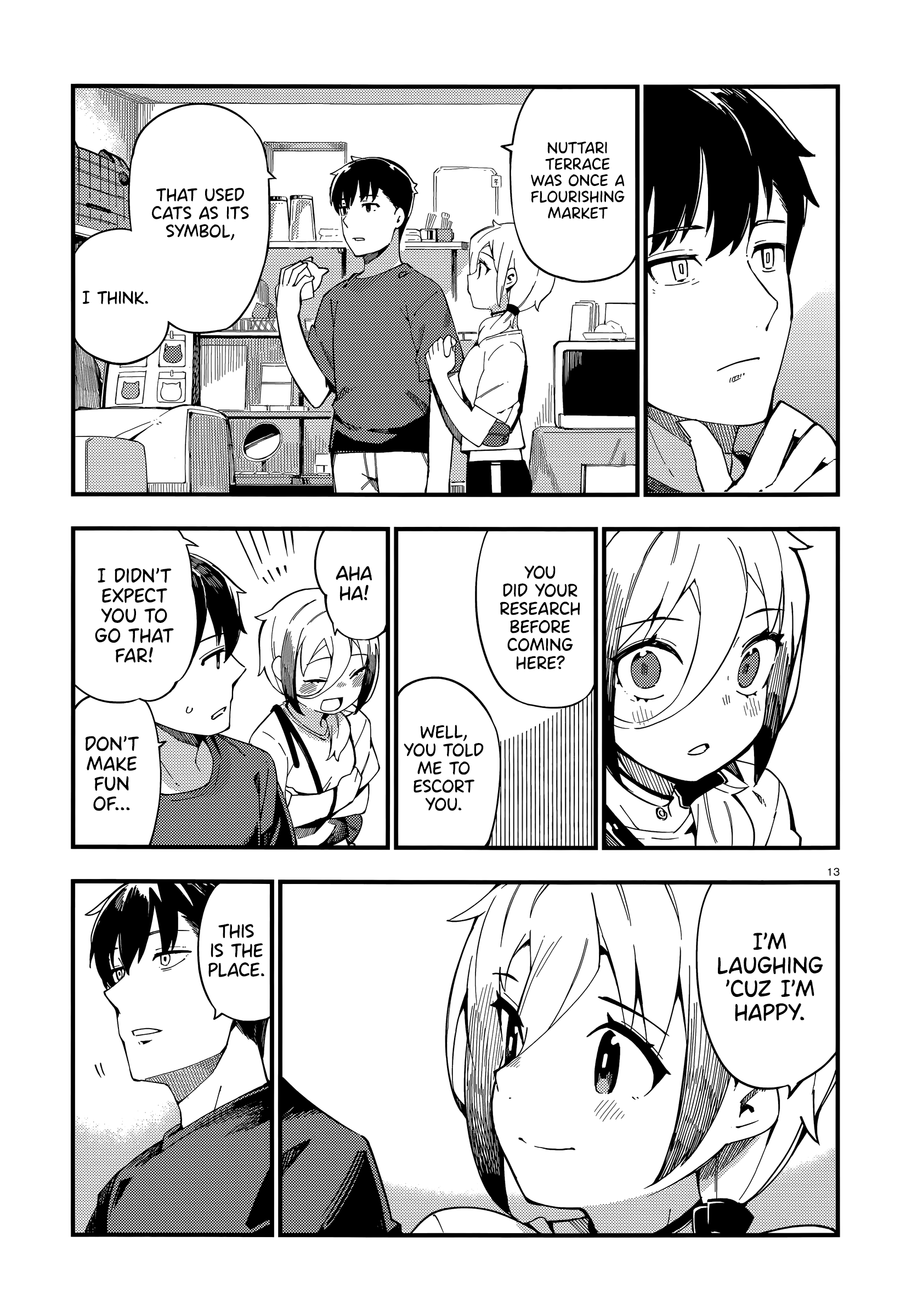 Page 13