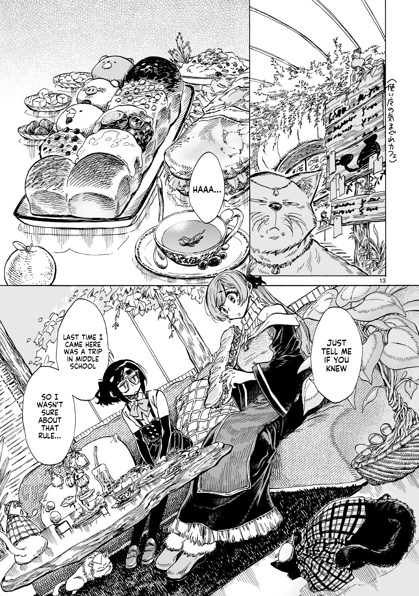Page 13