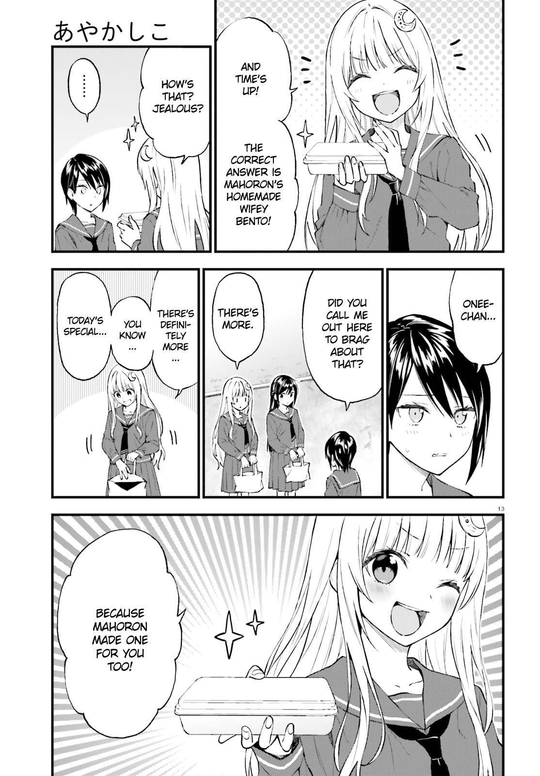 Page 13
