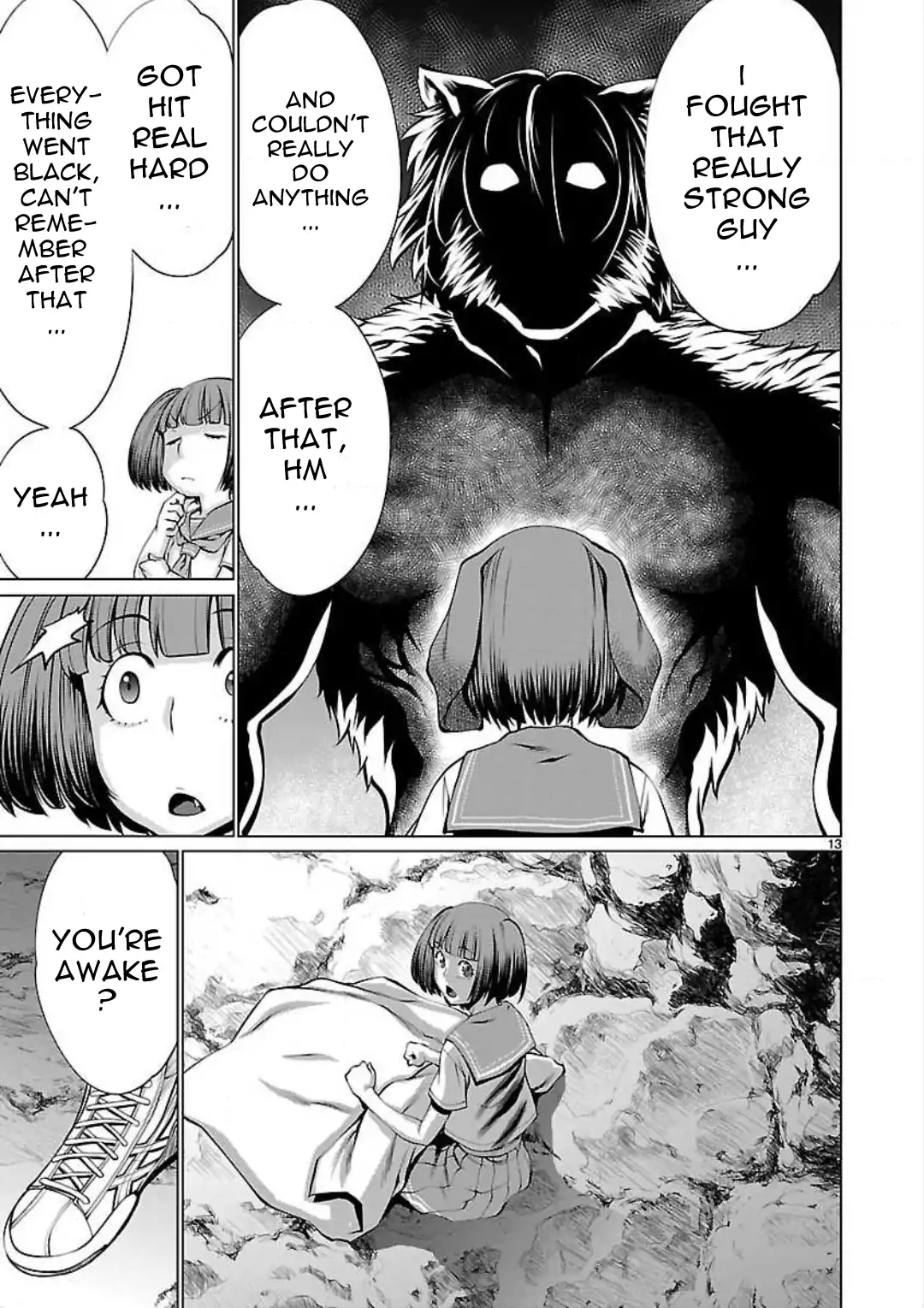 Page 13