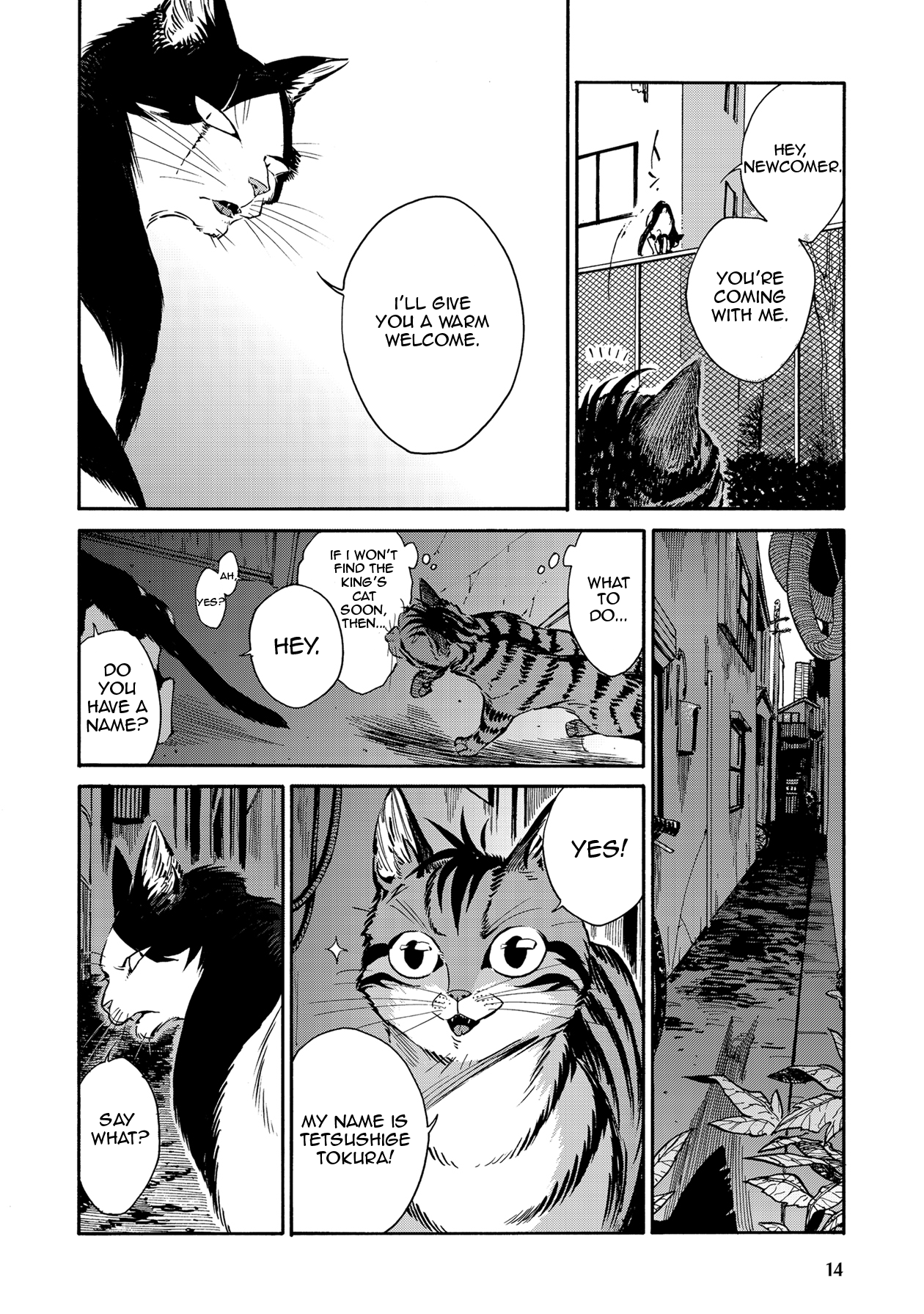 Page 14