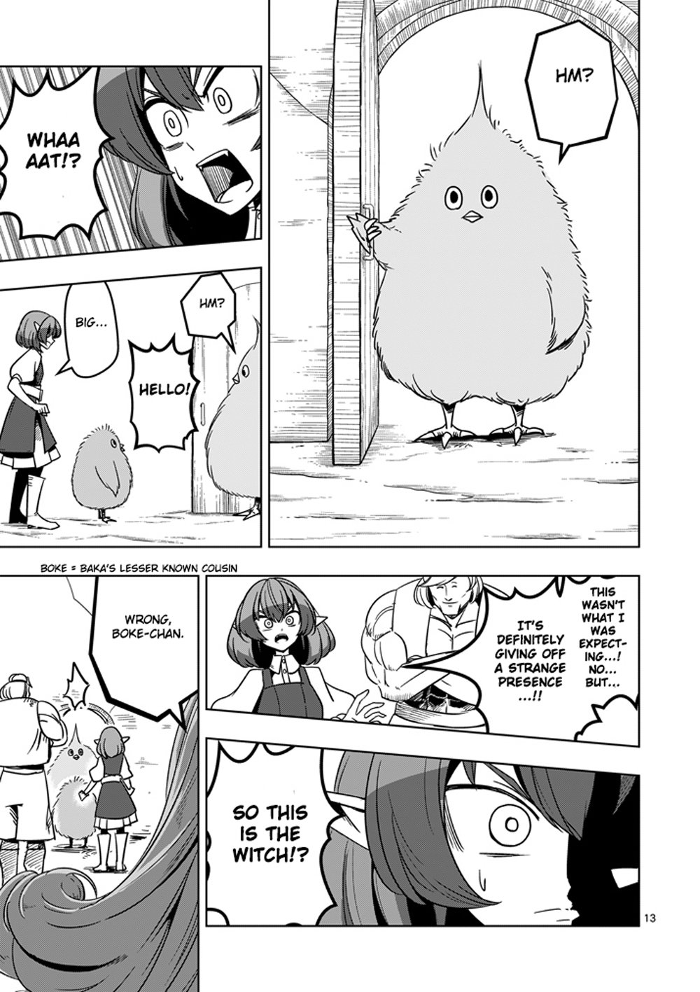 Page 13