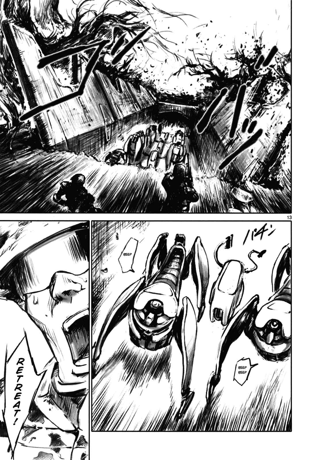 Page 13