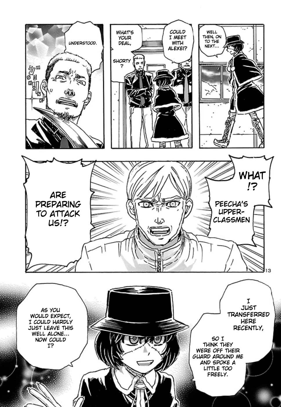 Page 13