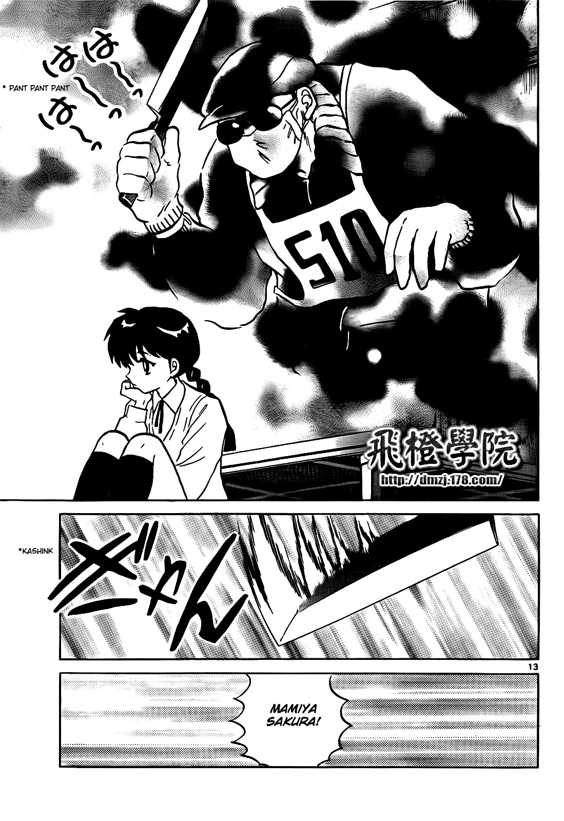 Page 13