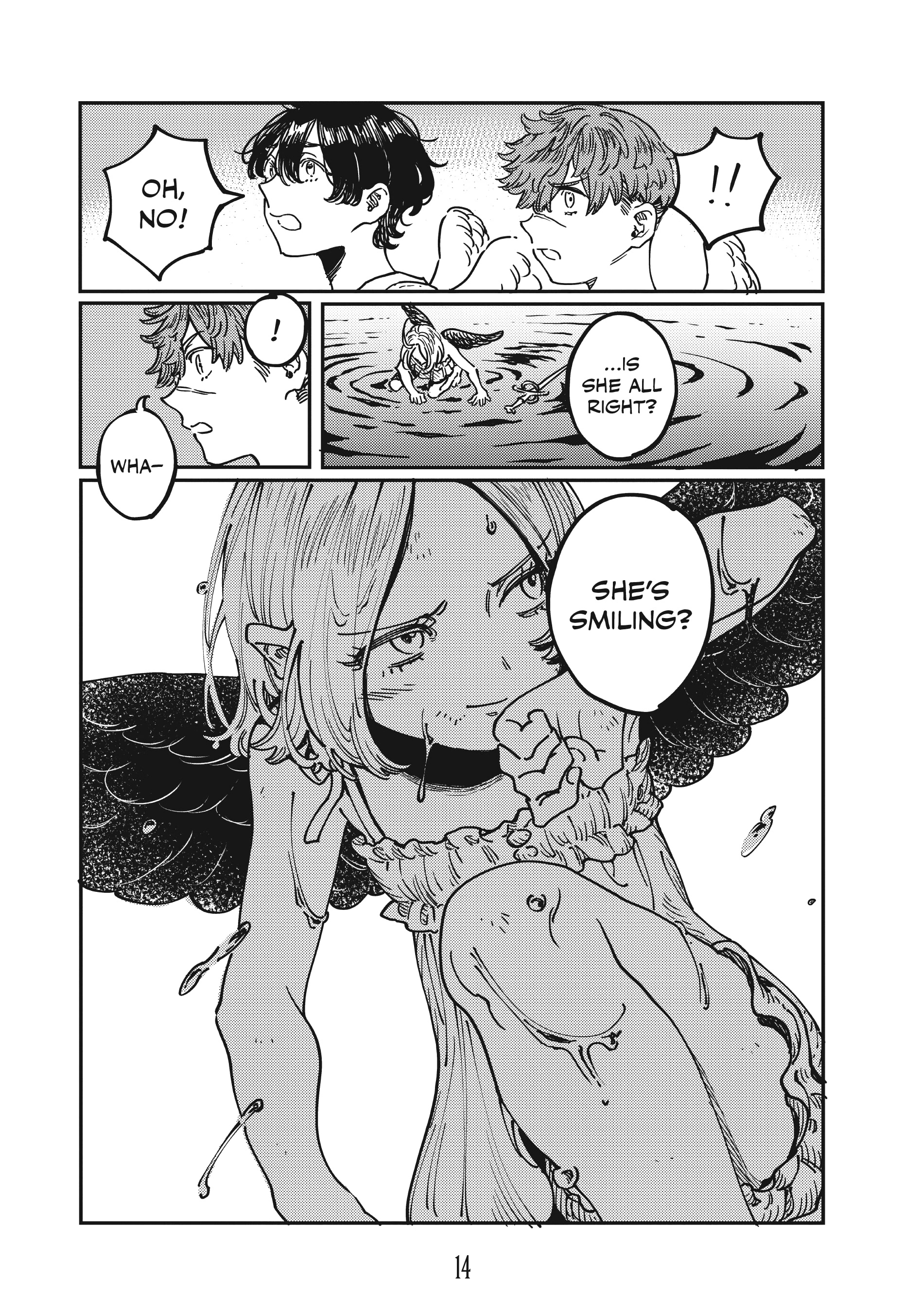 Page 14