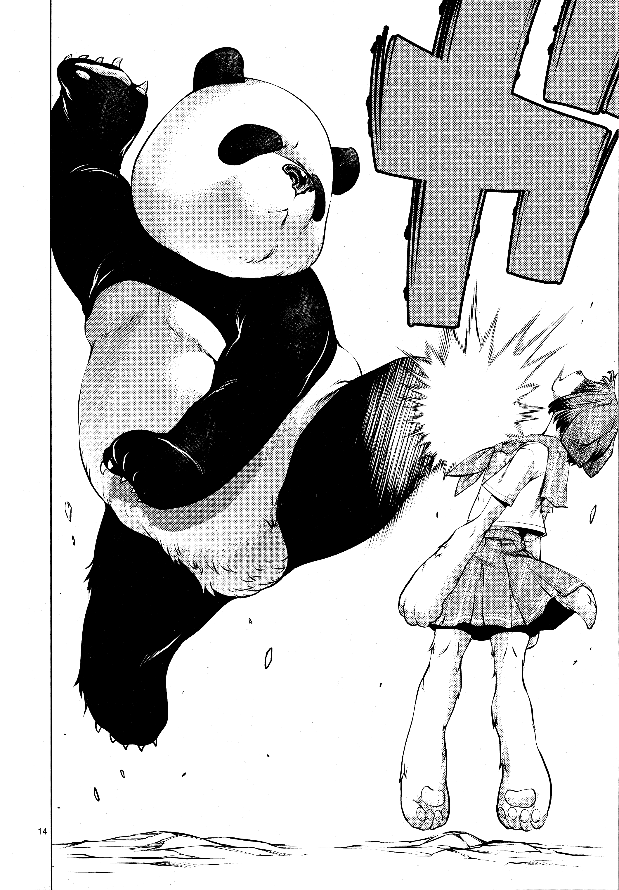 Page 14