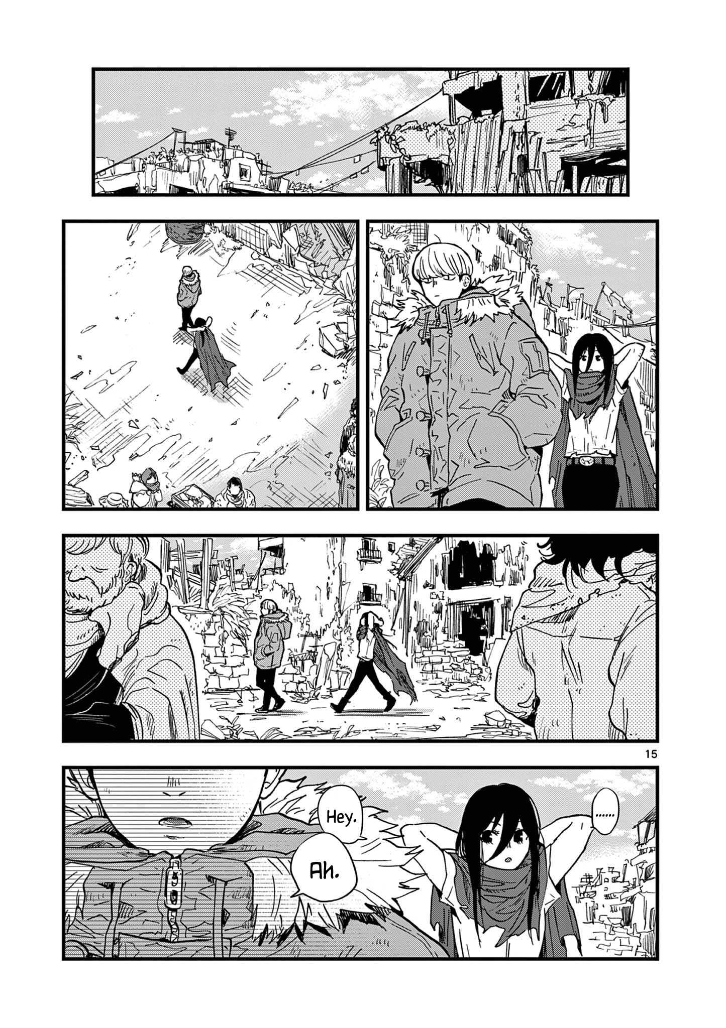 Page 15