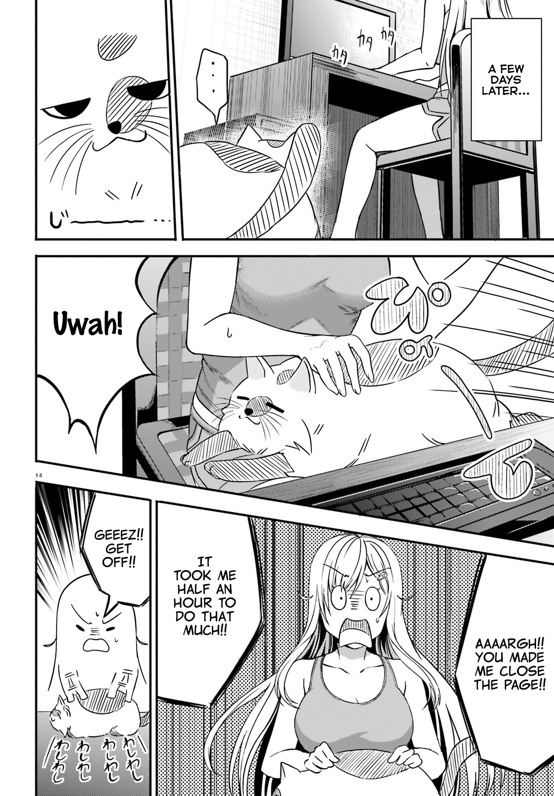 Page 14