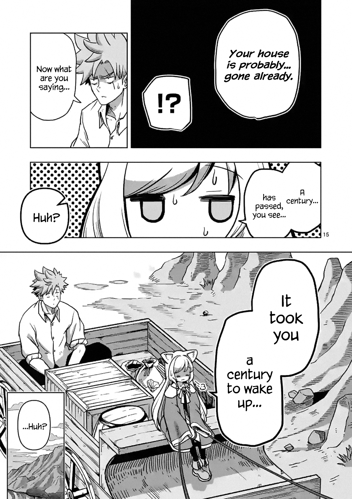 Page 15