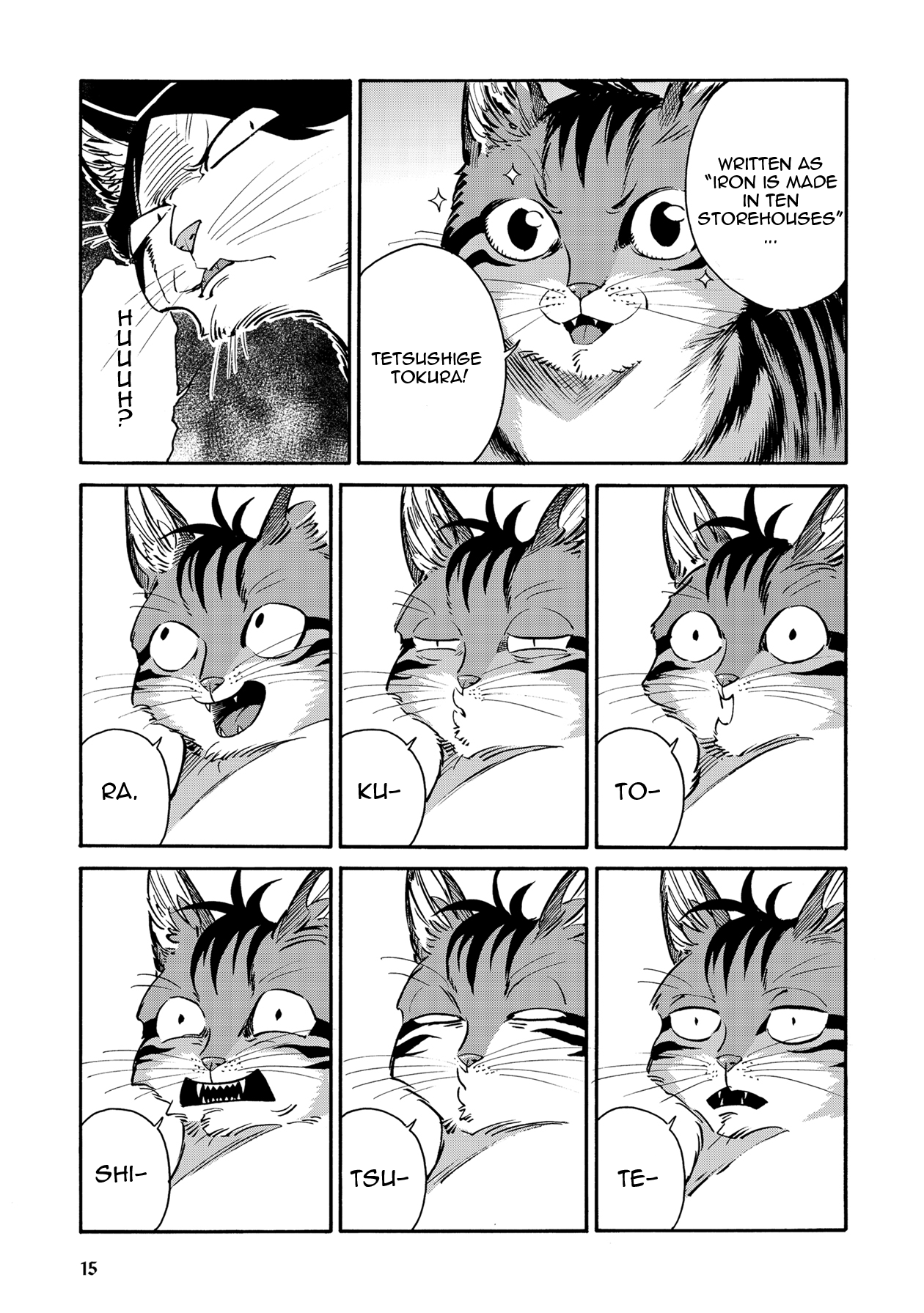 Page 15