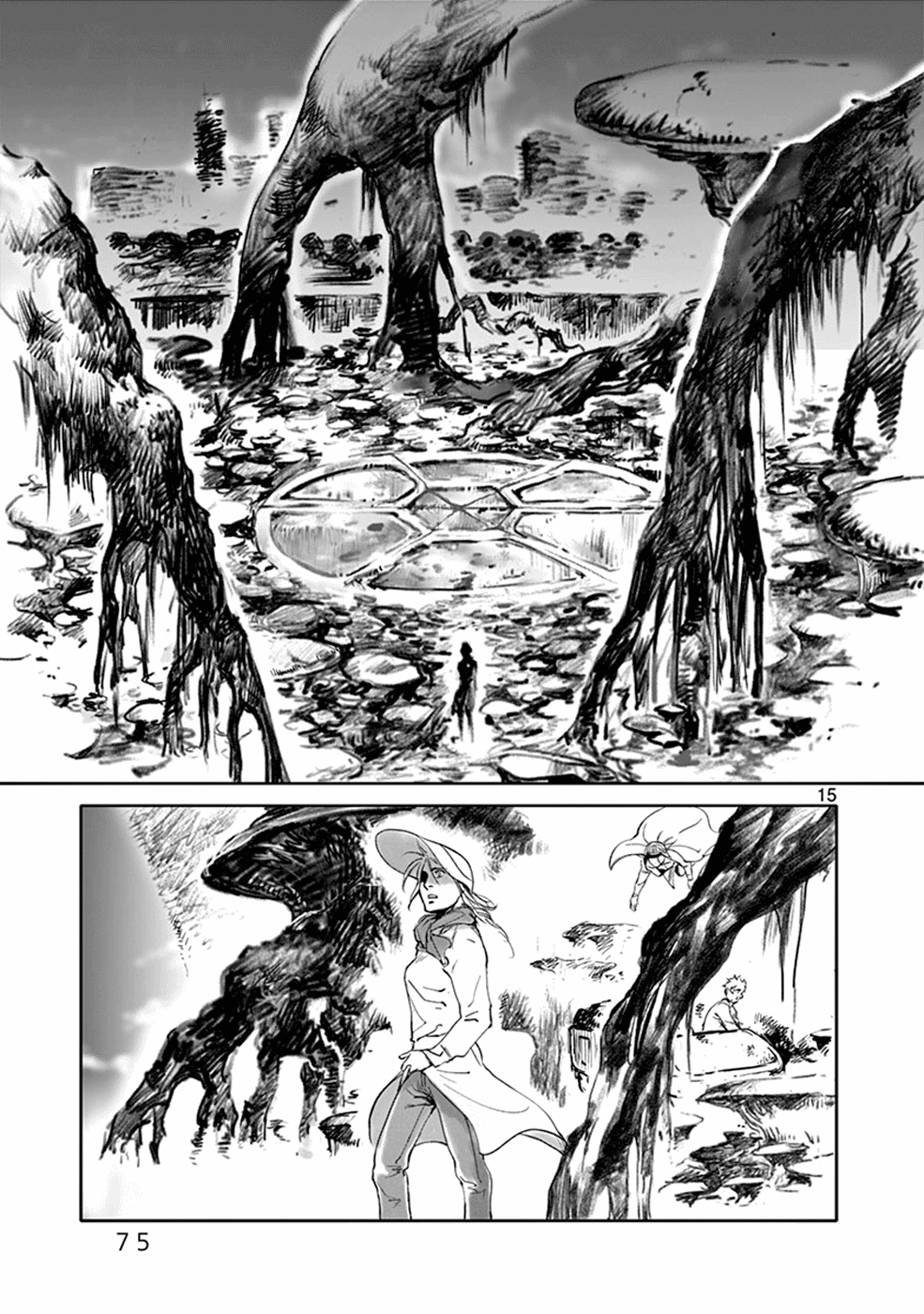 Page 15