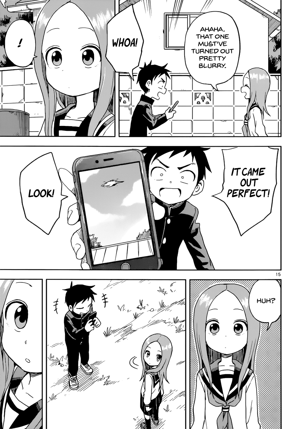 Page 15