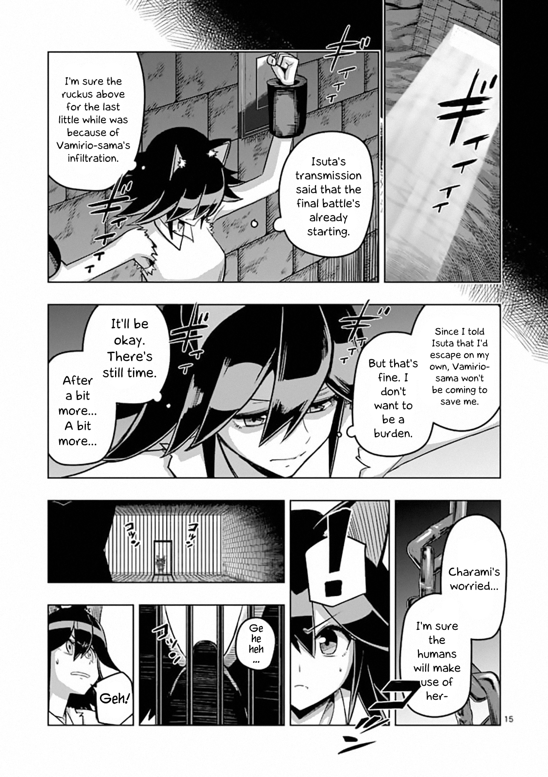Page 15