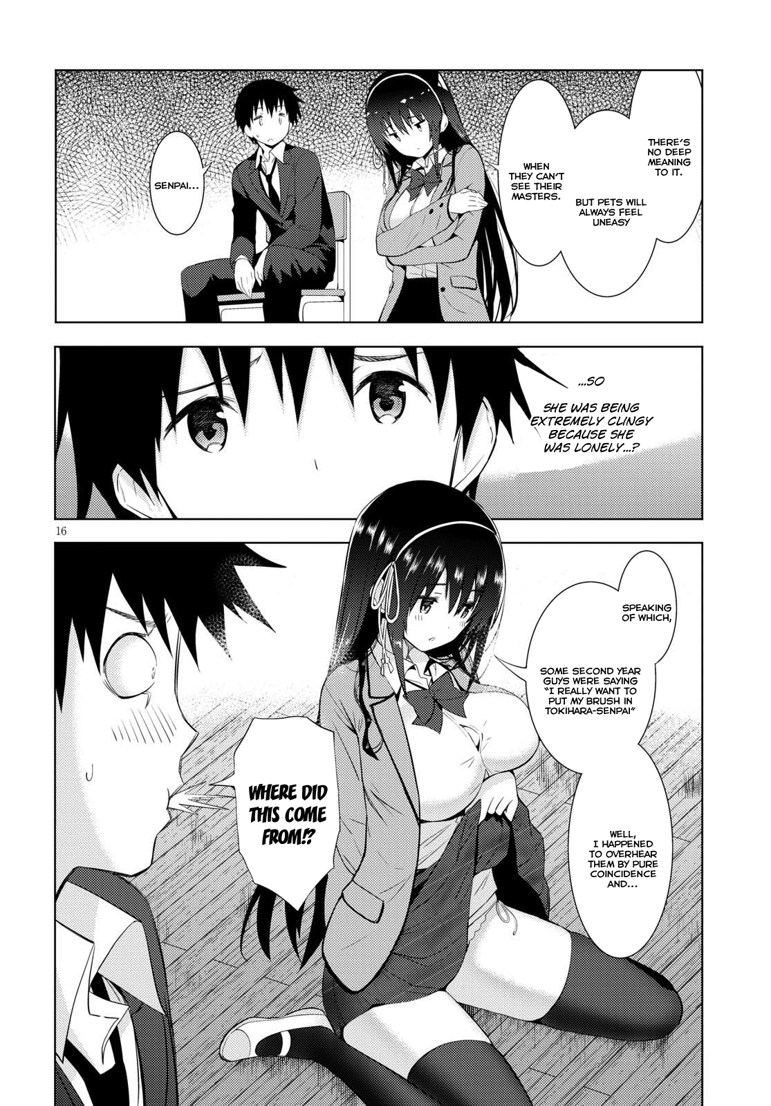 Page 16