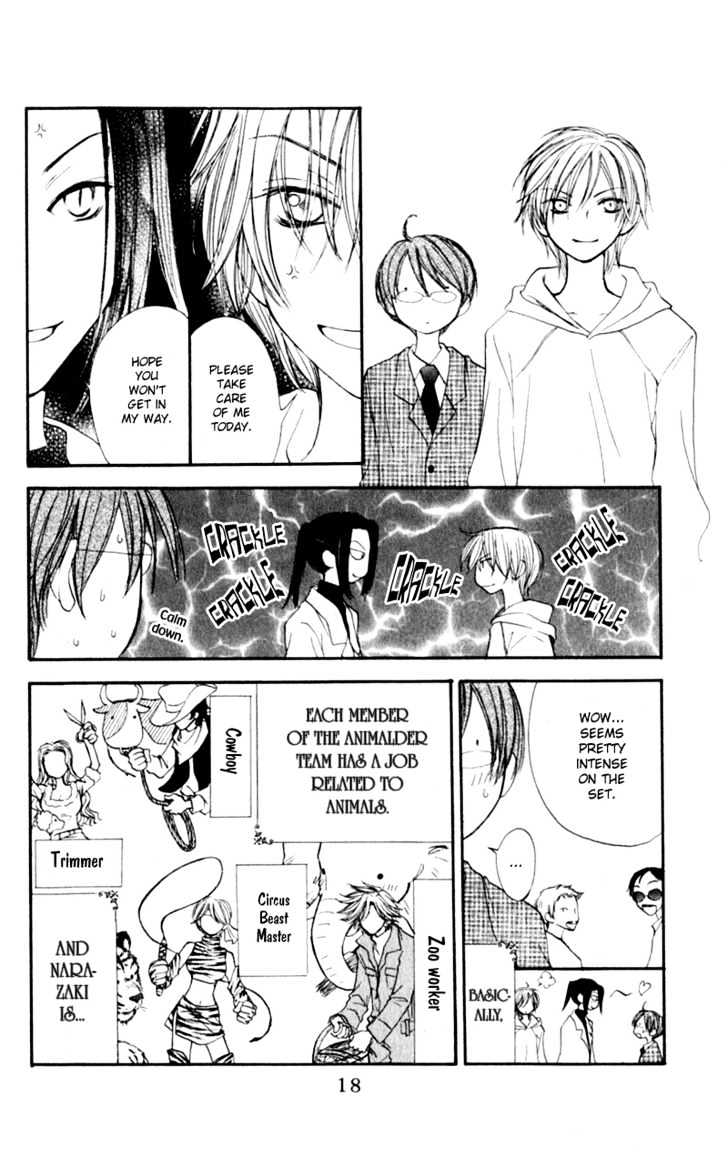 Page 17