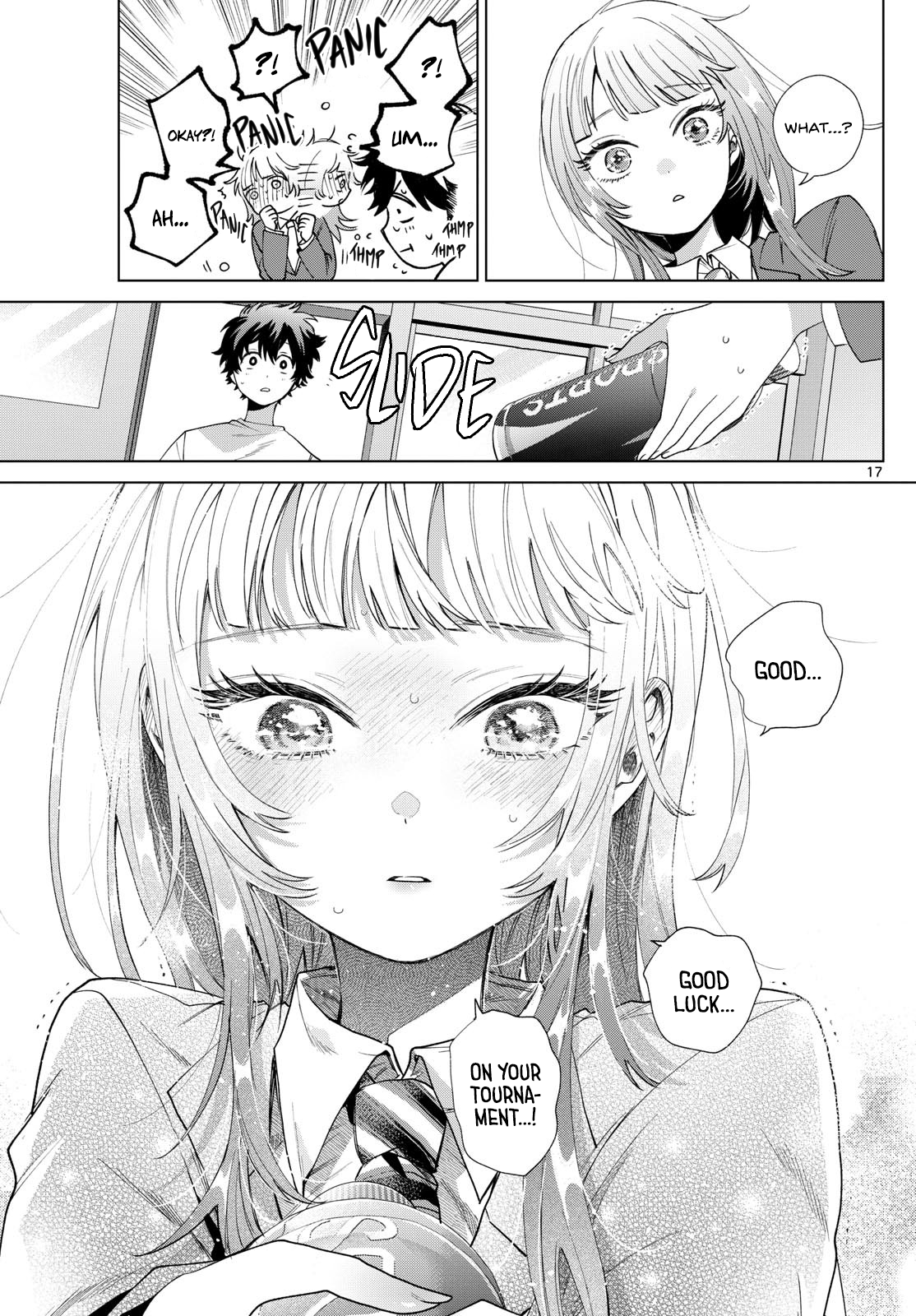 Page 17