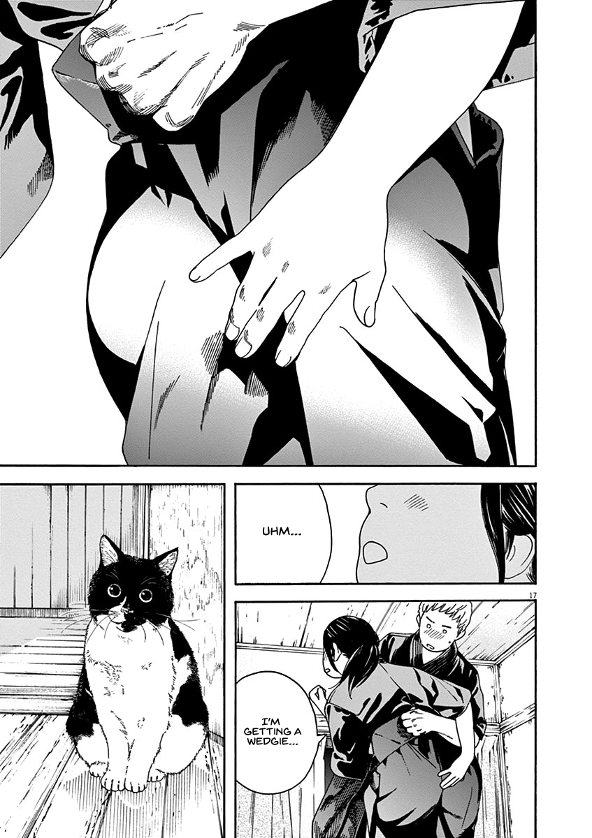 Page 17