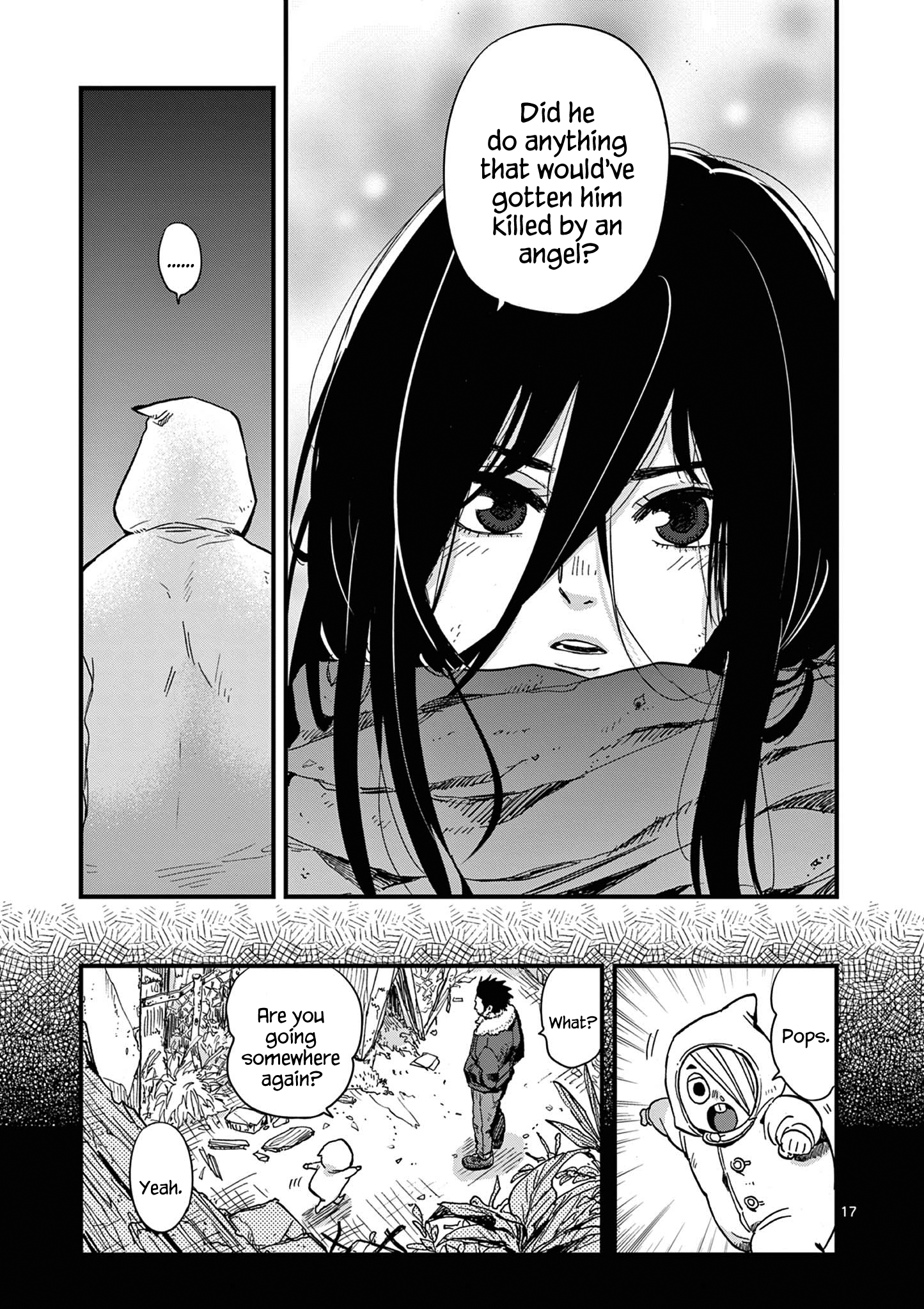 Page 17