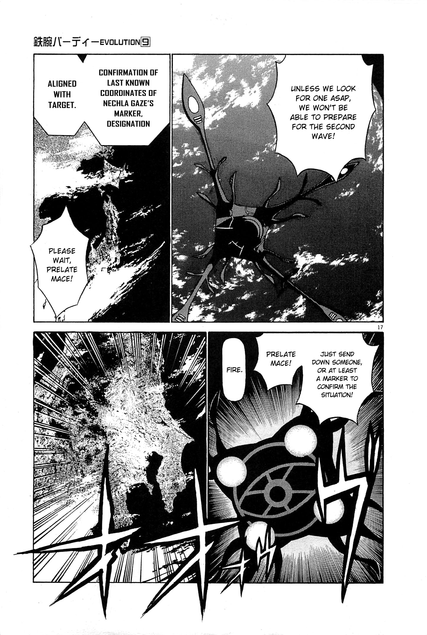 Page 17