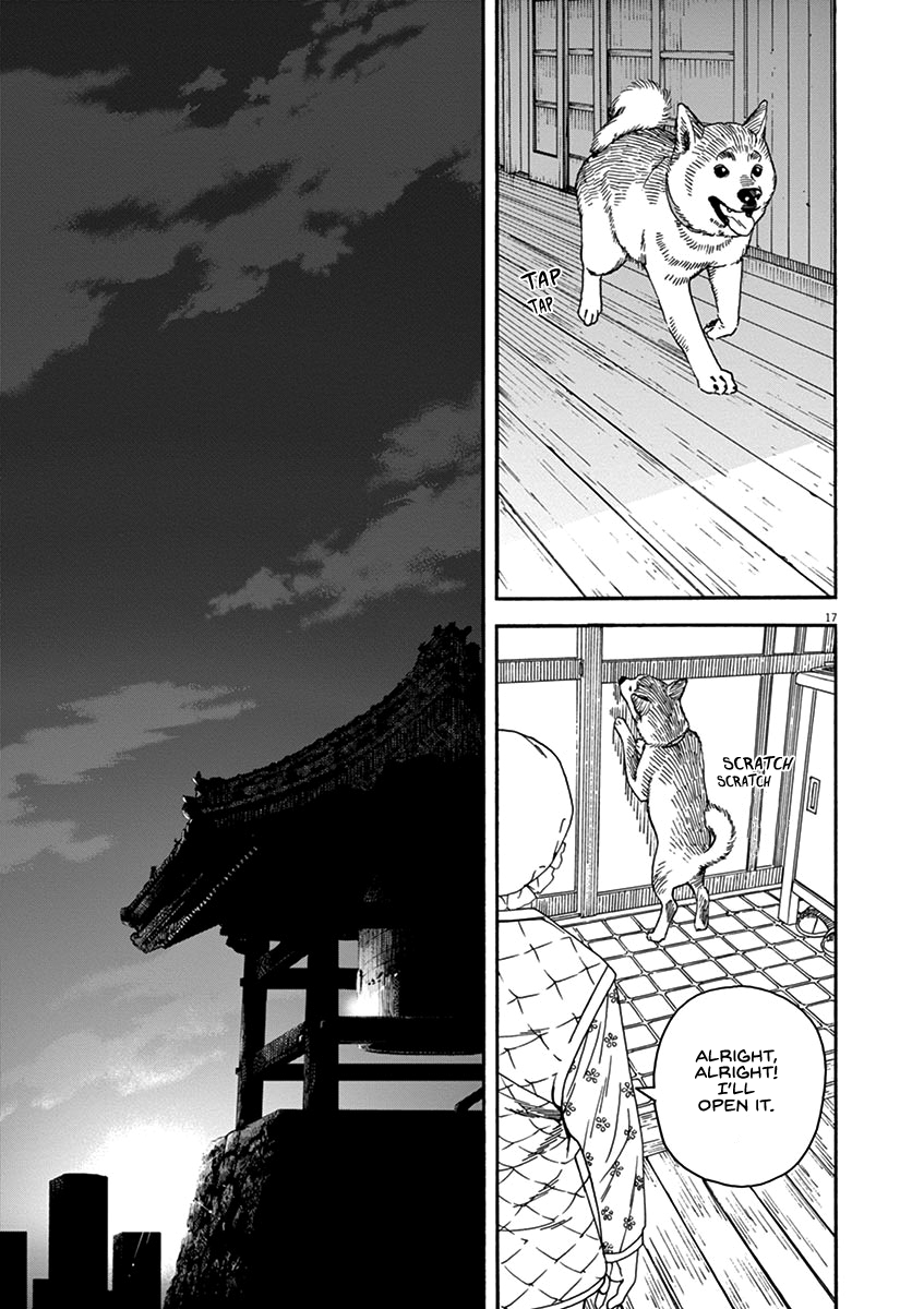 Page 17