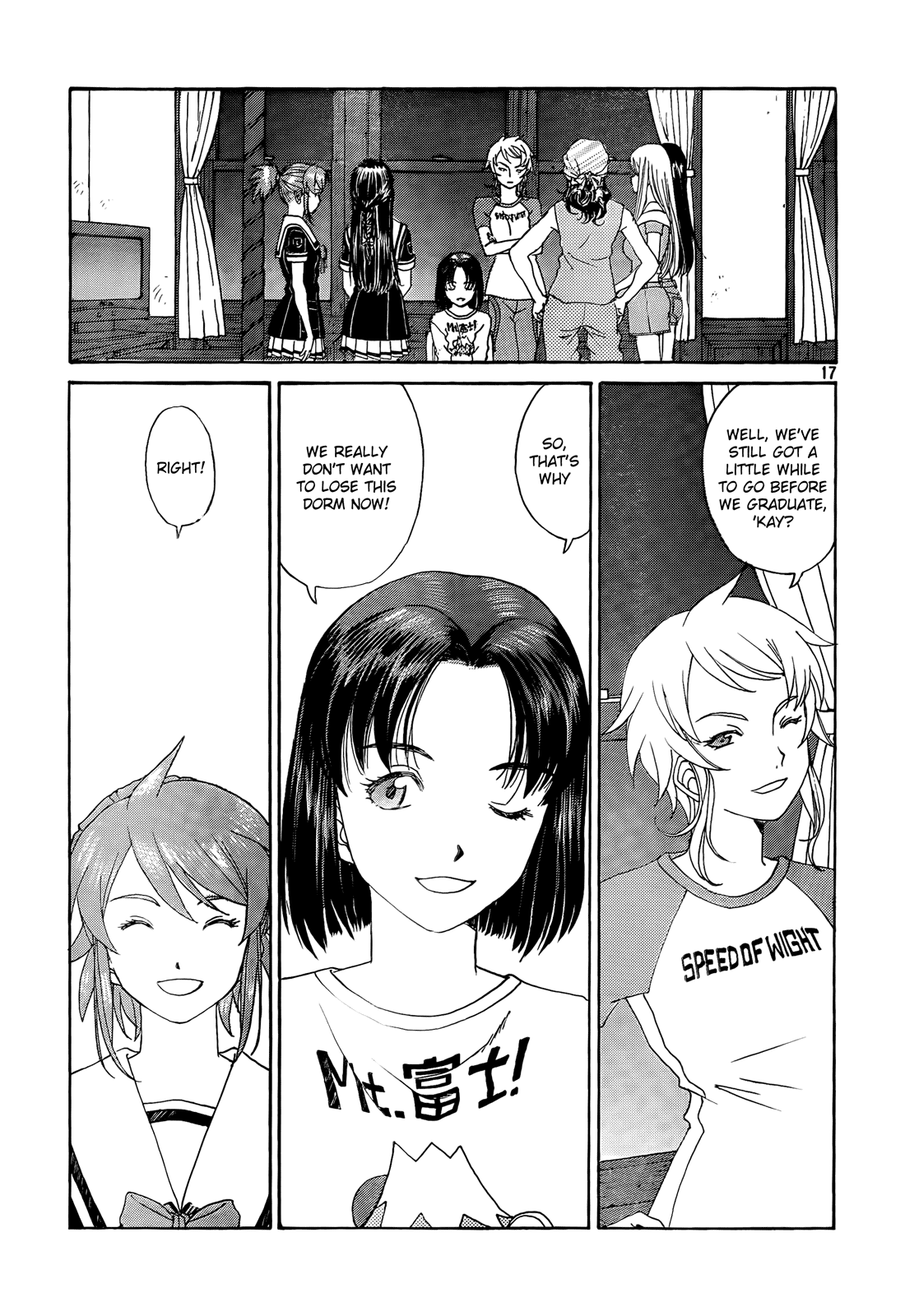 Page 17