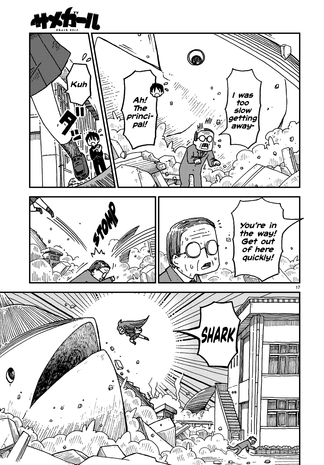 Page 17