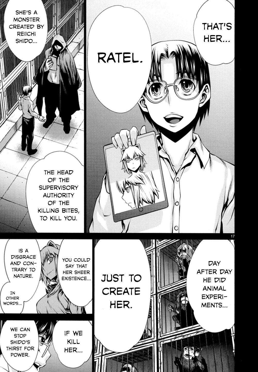 Page 17