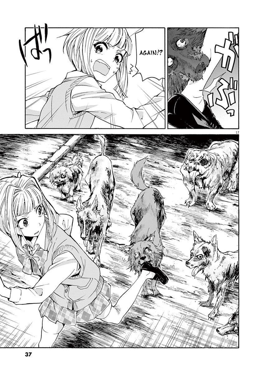 Page 17