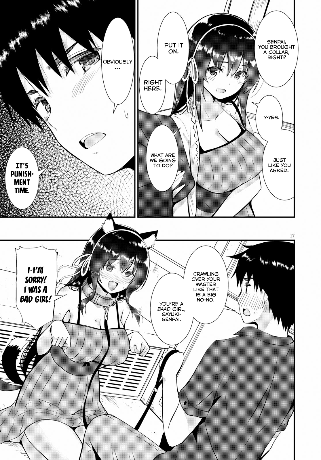 Page 17