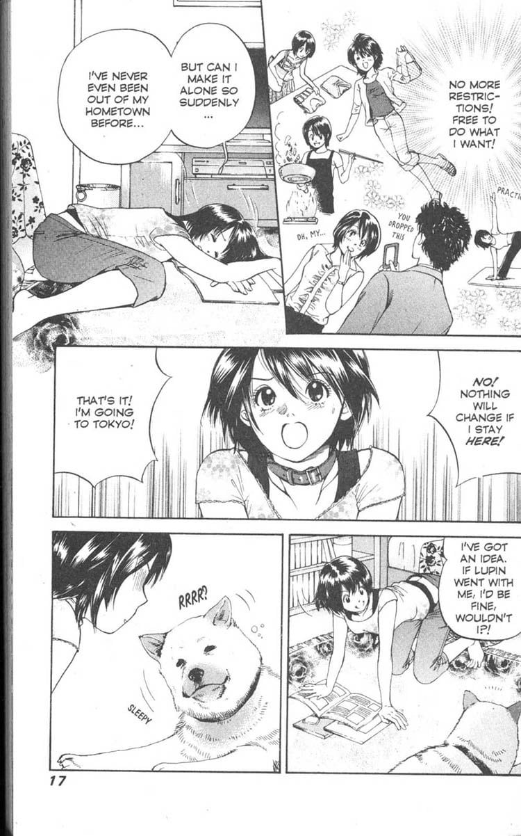 Page 17