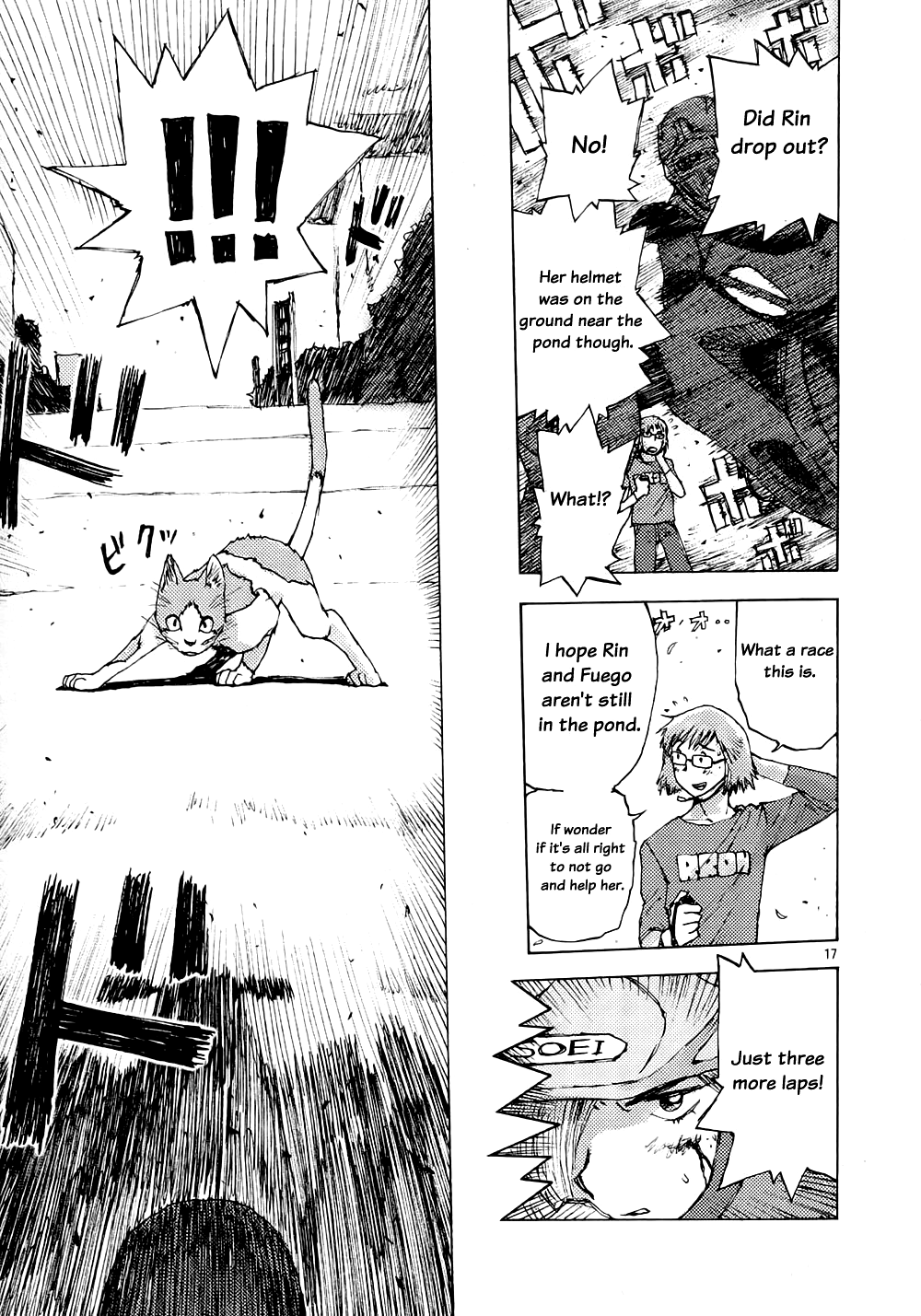 Page 17