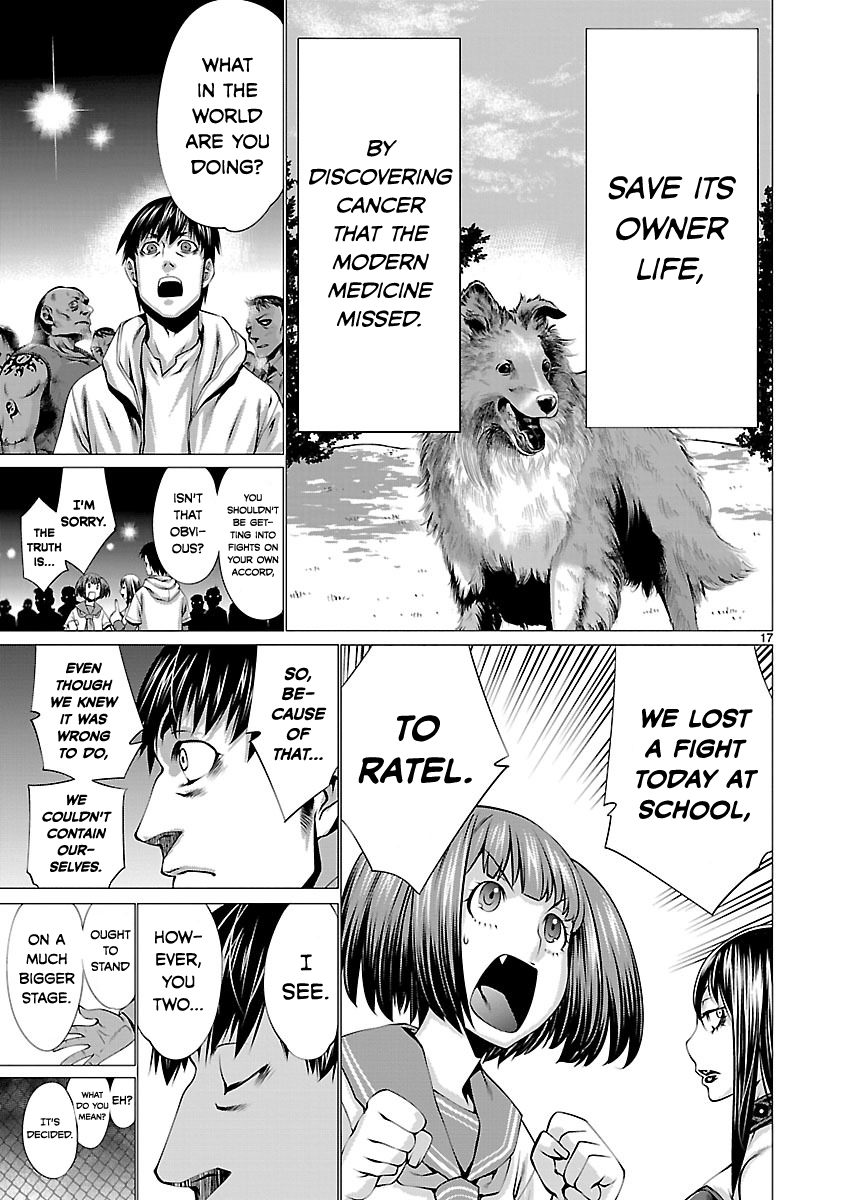 Page 17