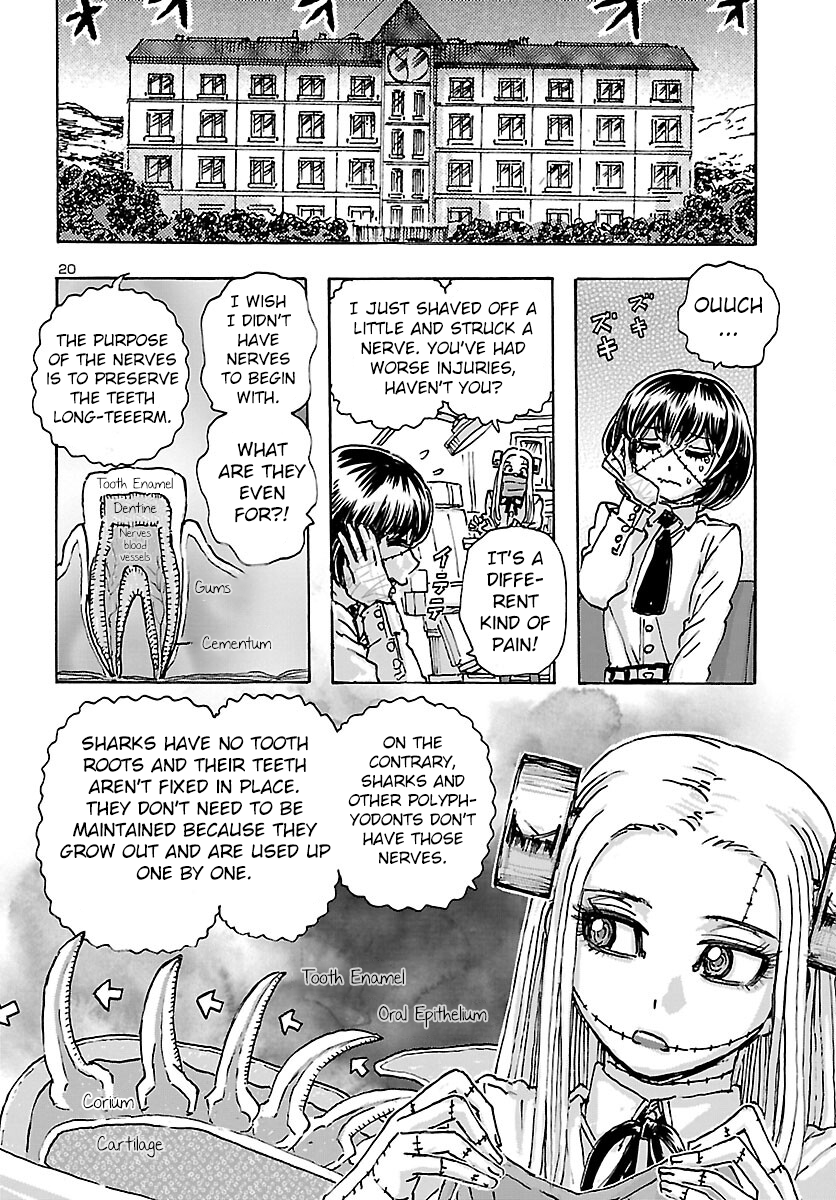 Page 20