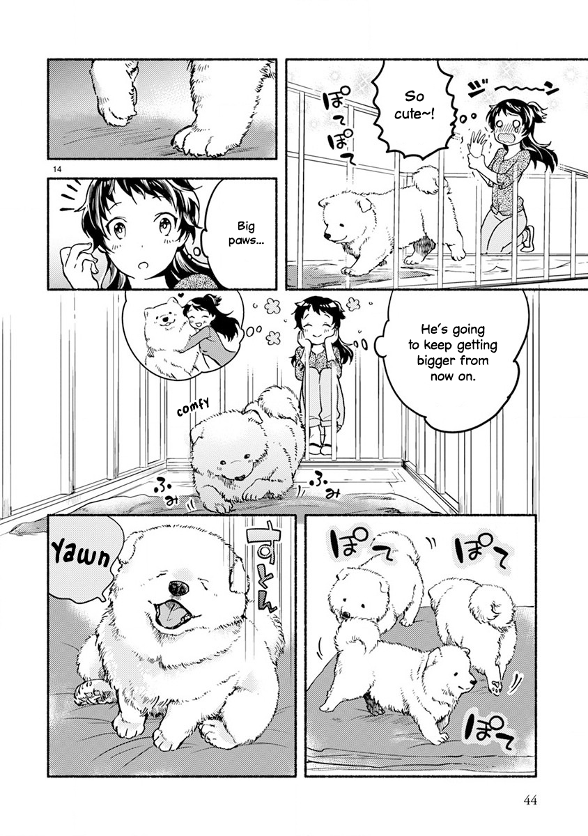 Page 14