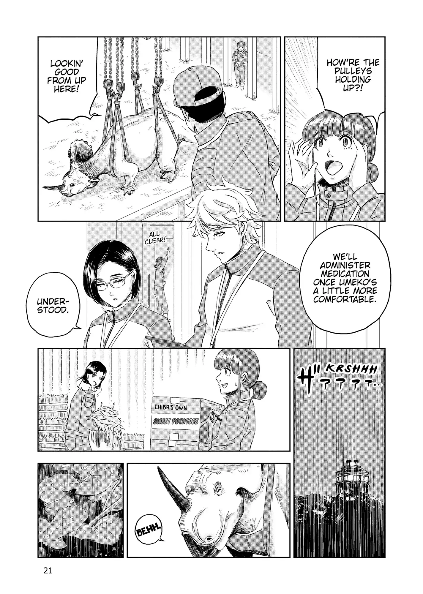 Page 21