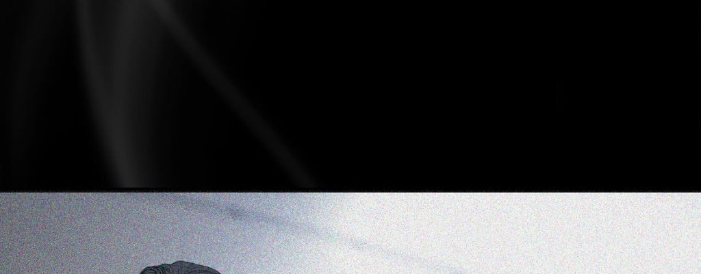 Page 211