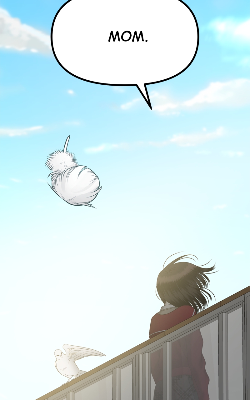 Page 215