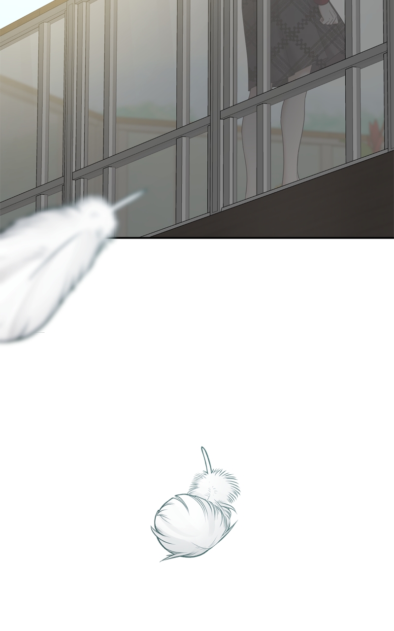 Page 216