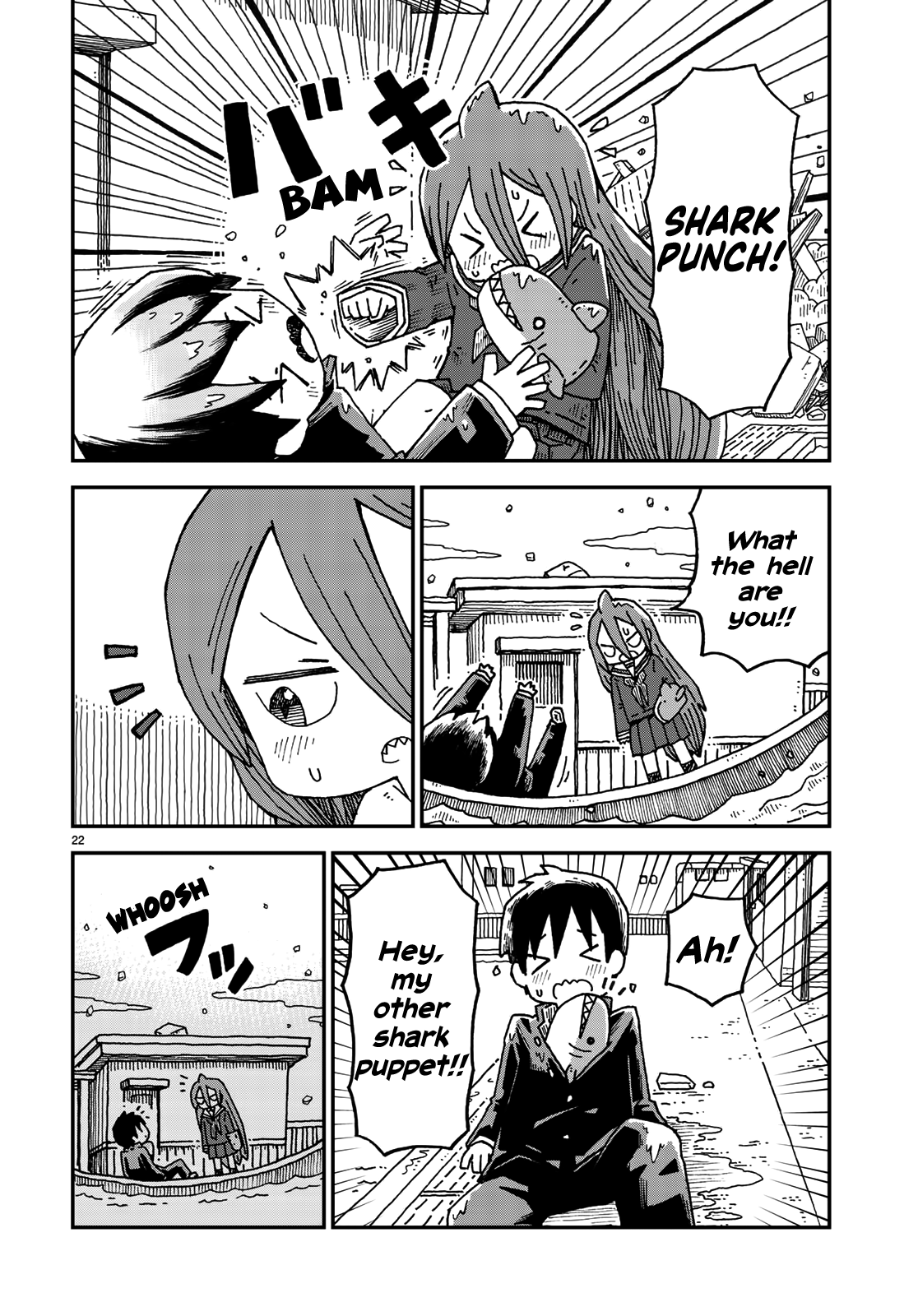 Page 22
