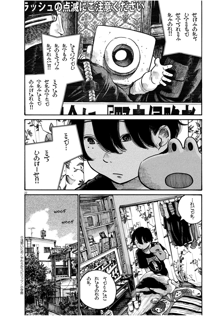 Page 22