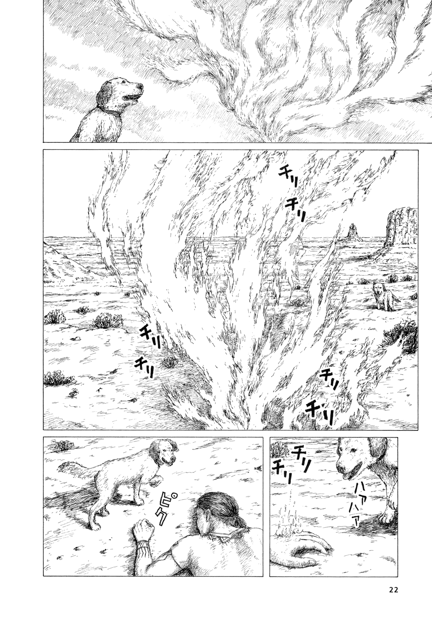 Page 22