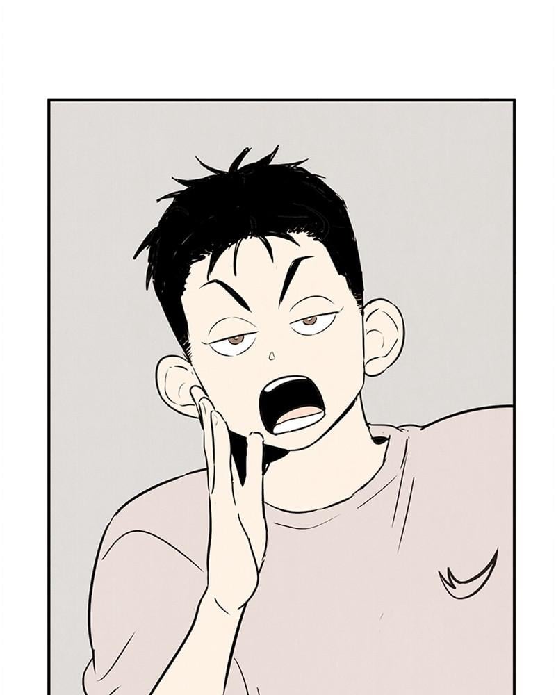 Page 229
